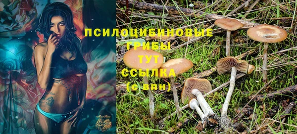 экстази Арсеньев