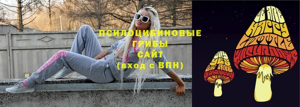 экстази Арсеньев