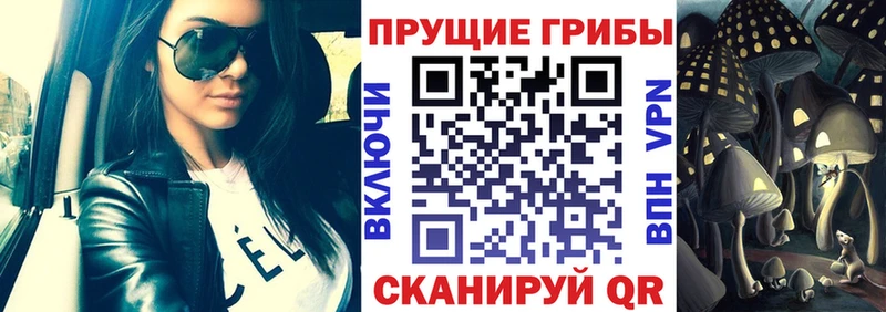 Галлюциногенные грибы прущие грибы  mega ссылки  Полесск  магазин продажи  